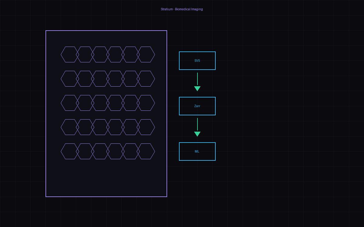 Stratium Bio Image Engine — biomedical image preprocessing for AI pipelines